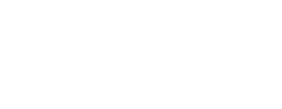 logo-avanti-white.webp